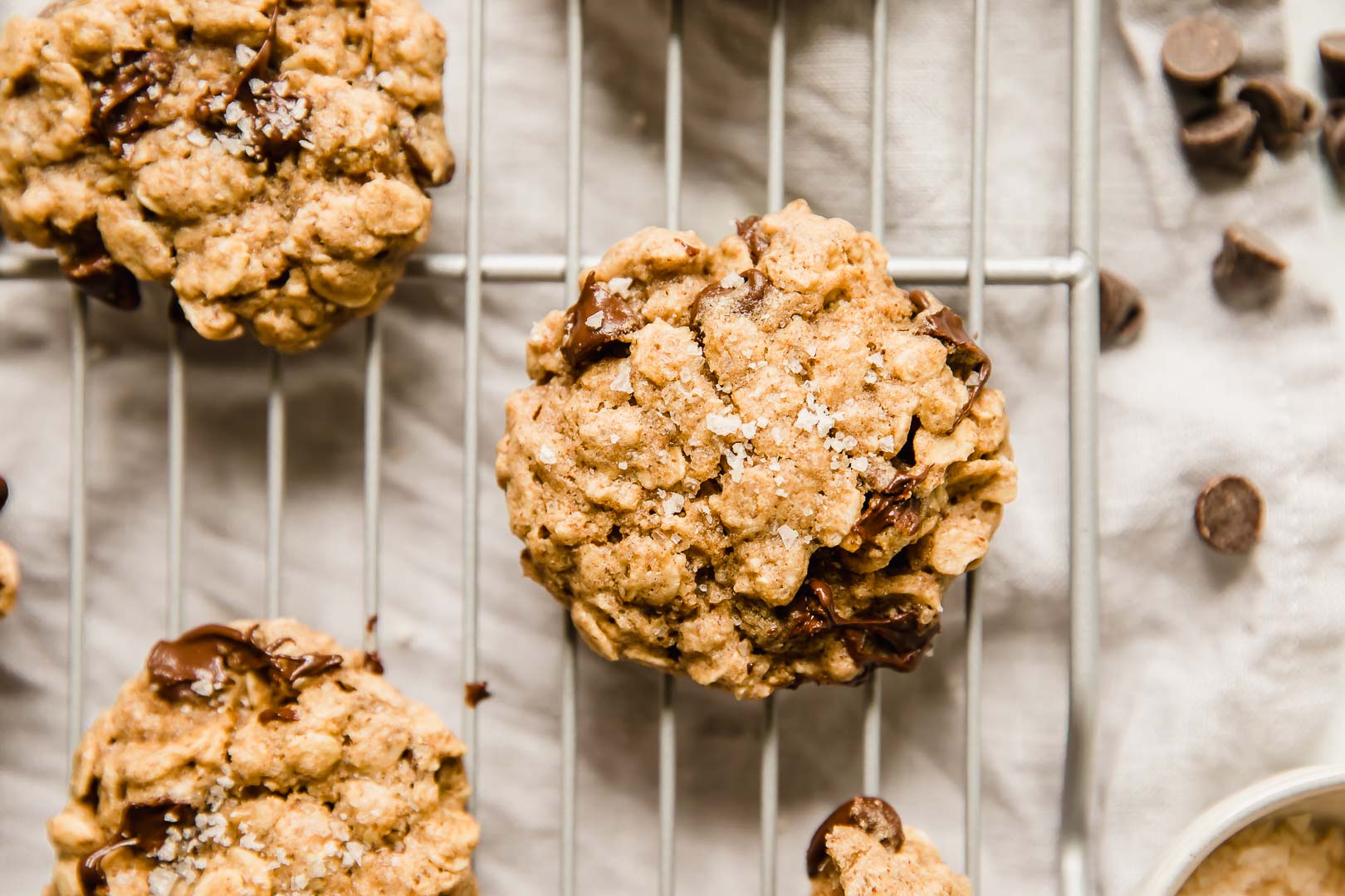 Easy Lactation Cookies (Dairy Free) - Jar Of Lemons