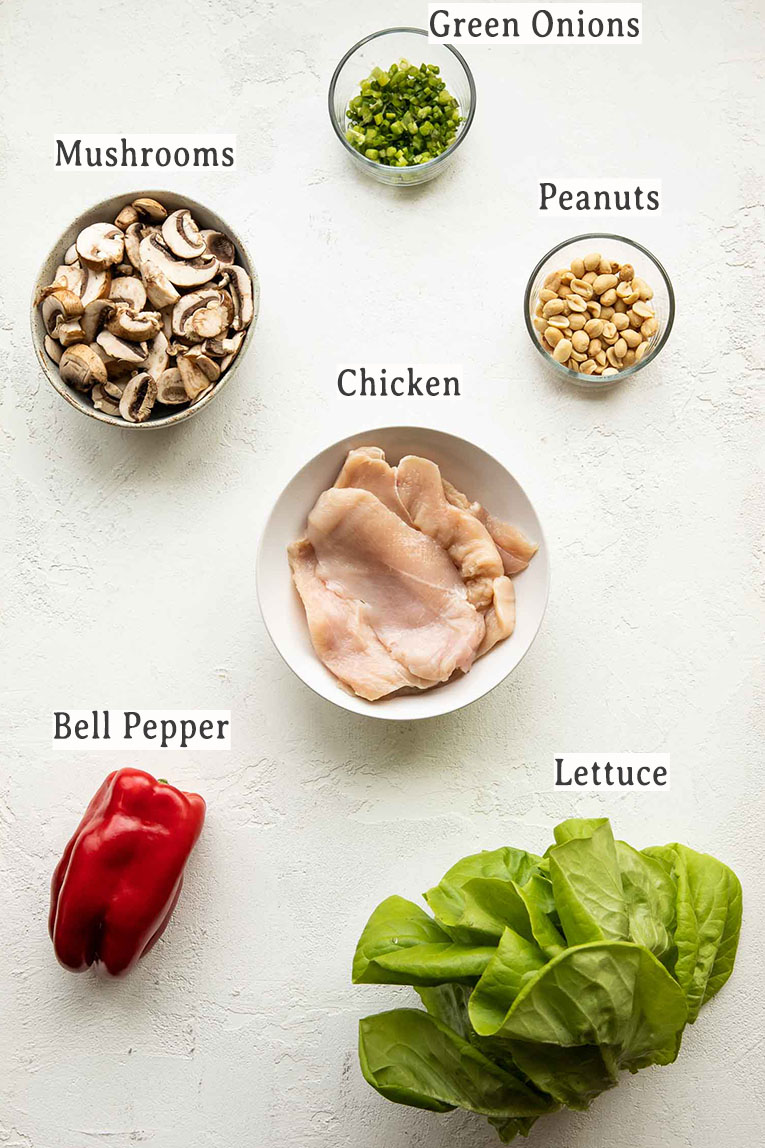 Ingredients for healthy chicken lettuce wraps.