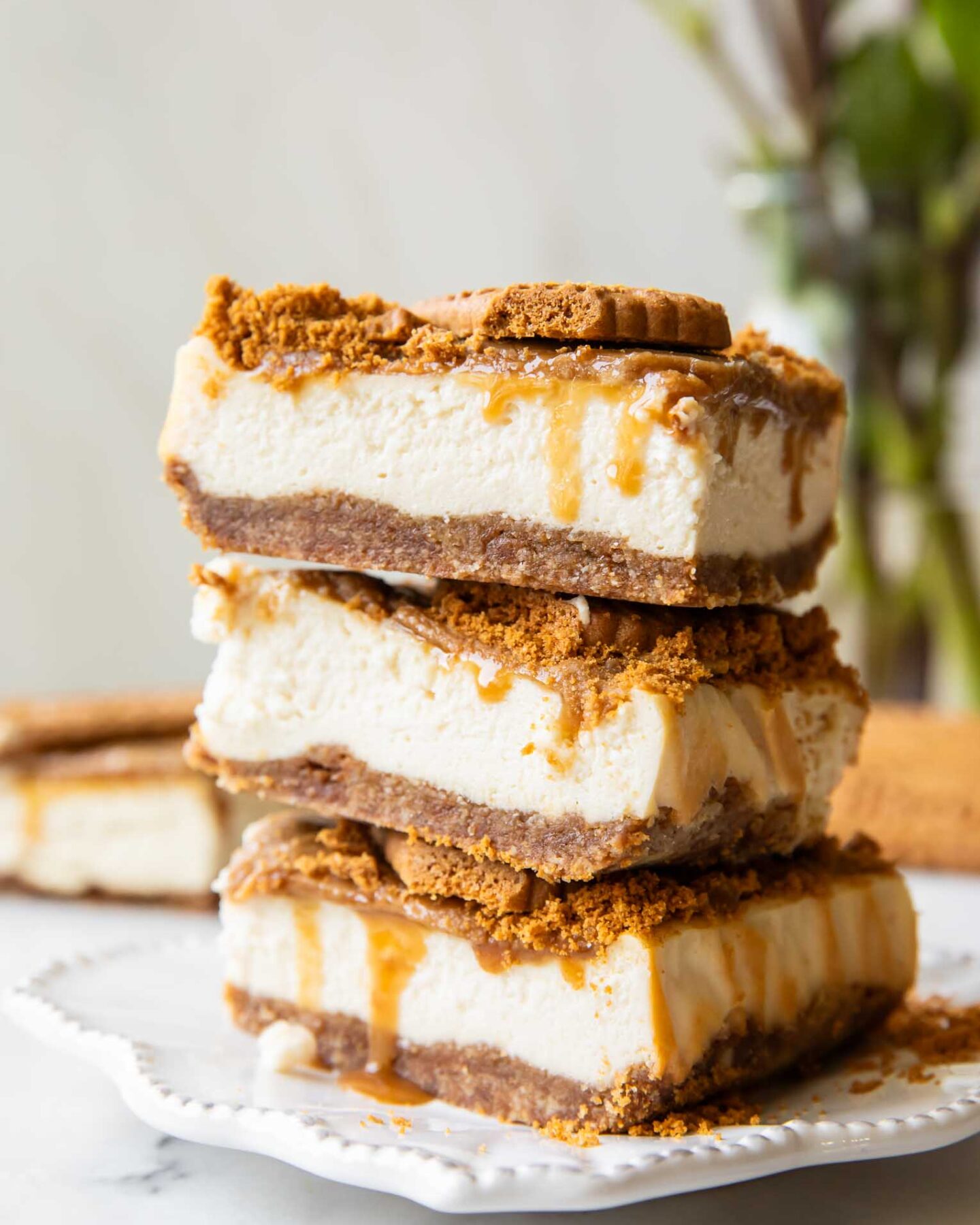 Biscoff cottage cheese cheesecake bars stacked on top of each other.