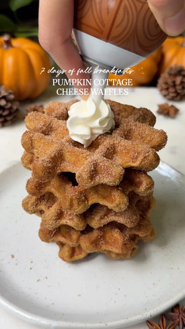 Day 3 of 7 Days of Fall Breakfasts: PUMPKIN COTTAGE CHEESE WAFFLES…
